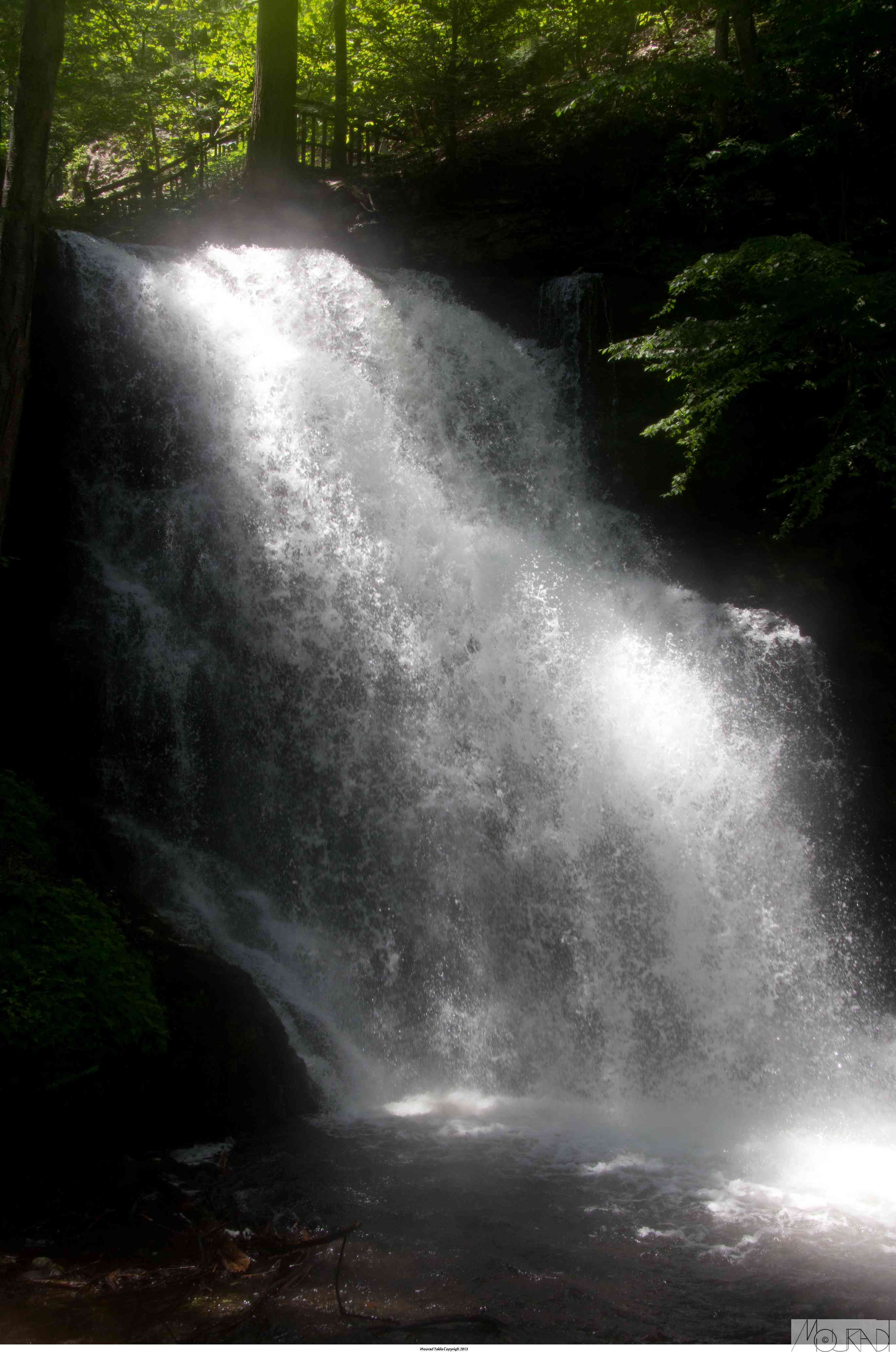 BushkillFalls13_011.jpg