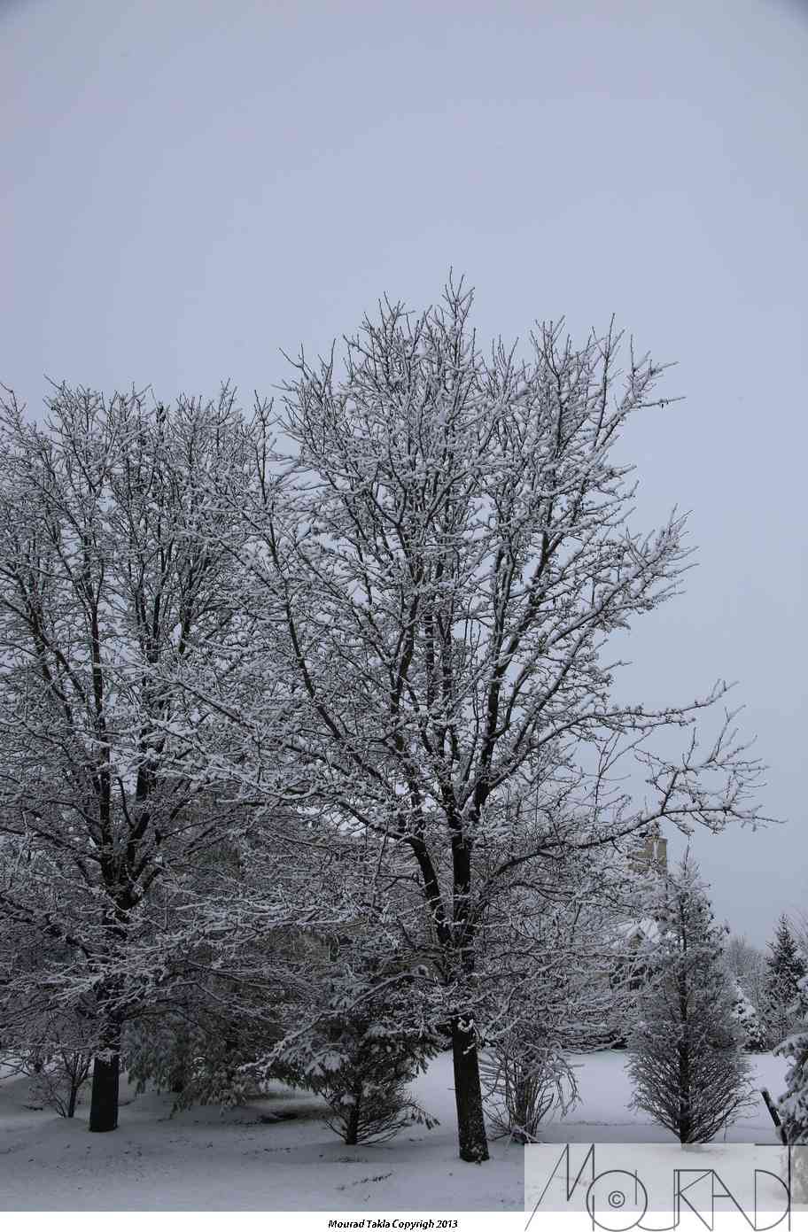 Snow2013_014.jpg