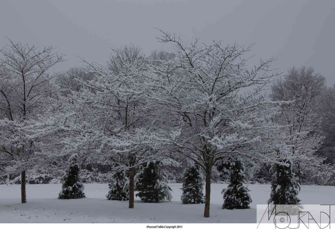 Snow2013_015.jpg