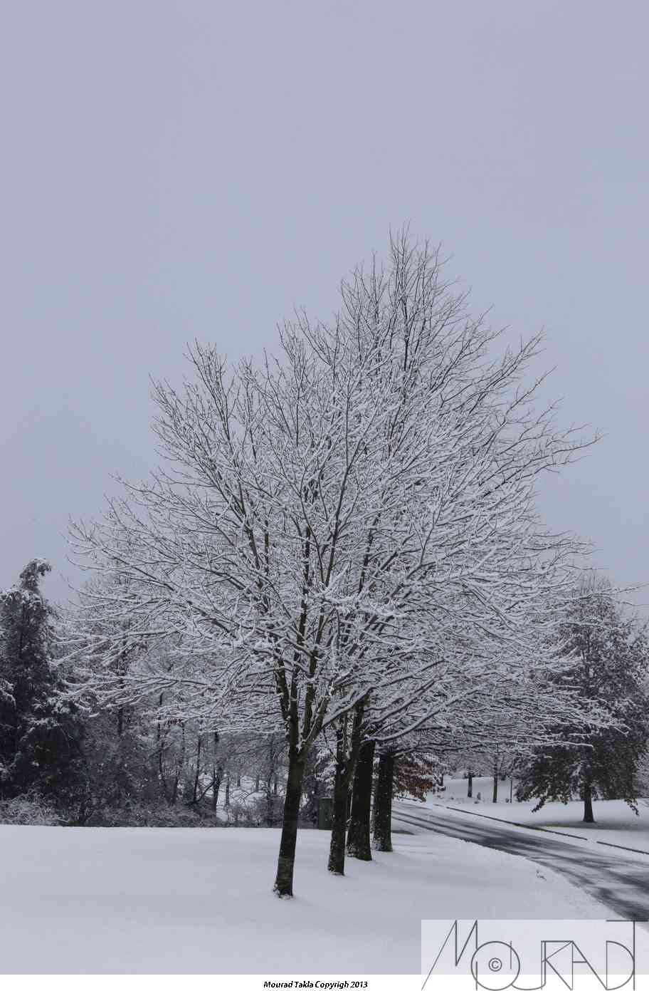 Snow2013_019.jpg