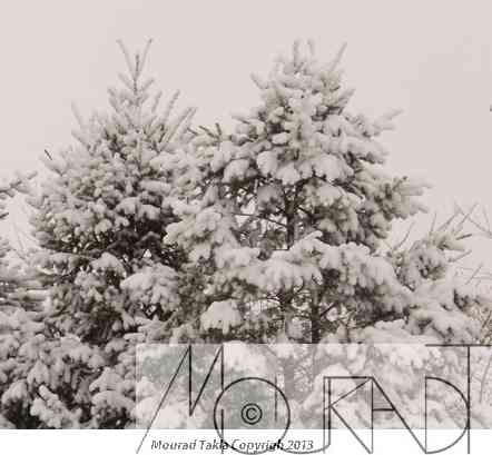 Snow2013_021.jpg
